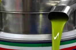processo di estrazione dell'olio extravergine di oliva Brogna